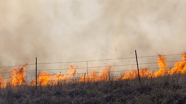 How you can help with Wildfire Relief
